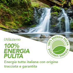 100% energia pulita
