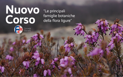 Nuovi corsi per Guide Ambientali Escursionistiche: la botanica della flora ligure
