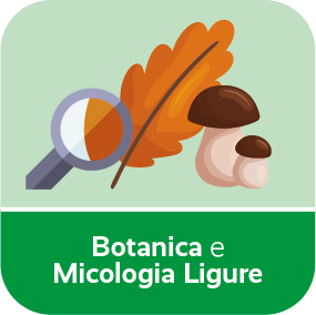Botanica e Micologia Ligure