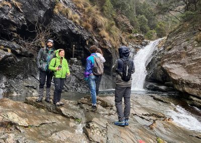 GAE: Guida Ambientale Escursionistica Ente F.IRE | Formazione professionale